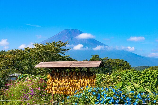 Tokyo Hakone : Mt.Fuji, Owakudani, Open Air Museum, Hakone Shrine - Optional Hakone Ropeway: extra views when you want more Hakone