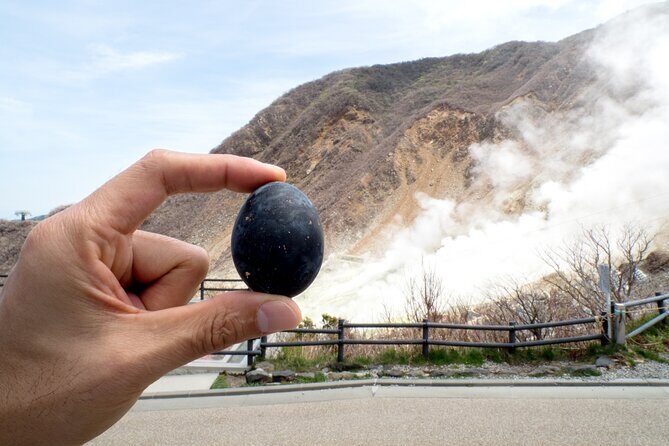 Tokyo Hakone : Mt.Fuji, Owakudani, Open Air Museum, Hakone Shrine - Mt. Fuji photo odds: what clear weather changes