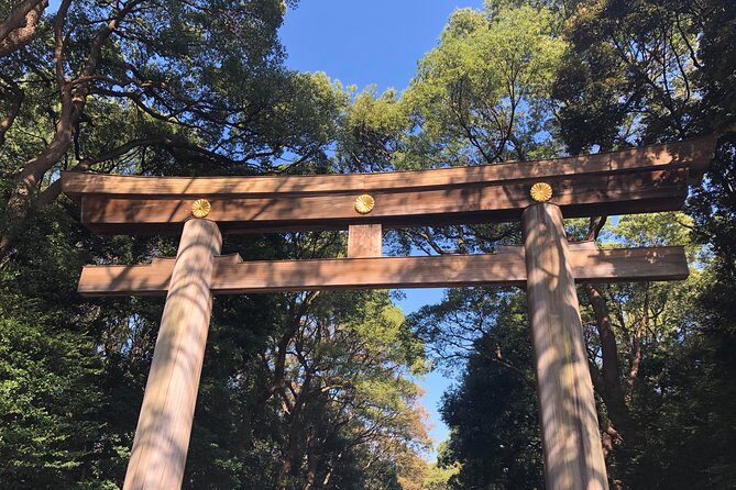 Tokyo Half-day Customized Private Tour - Key things to know before you go