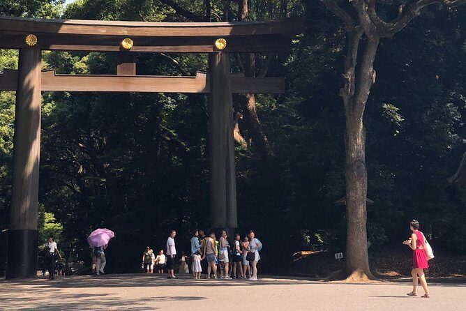 Tokyo Half-day Customized Private Tour - Getting around without a provided car: walking and transit strategy