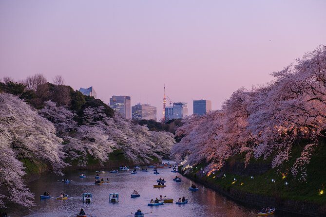 Tokyo Half-day Customized Private Tour - The single “Tokyo” stop: how one block of time becomes a full plan