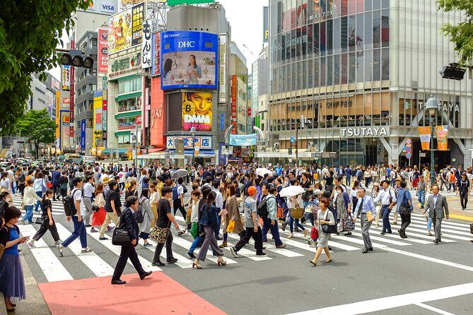 Tokyo Half-day Customized Private Tour - Price and value: is $143 a fair deal for a private guide?