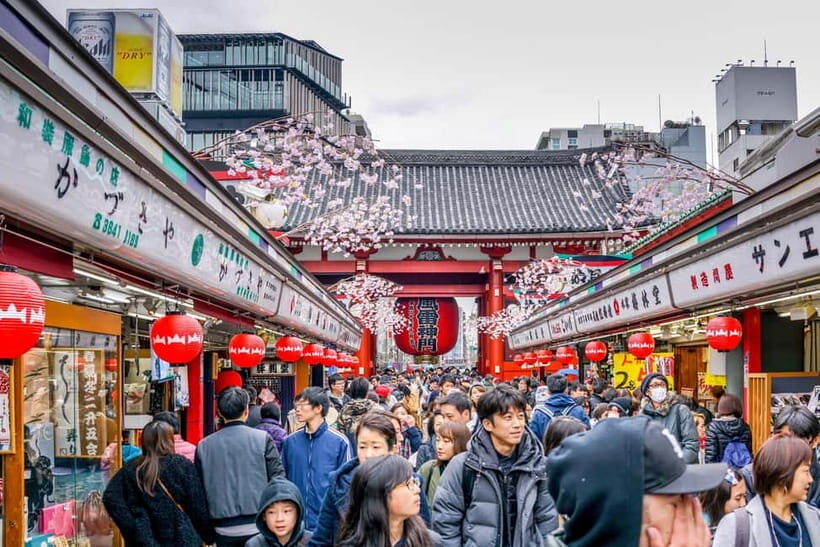 Tokyo: Half-Day Morning Small Group Tour - Why this 3-hour morning tour fits Tokyo timing