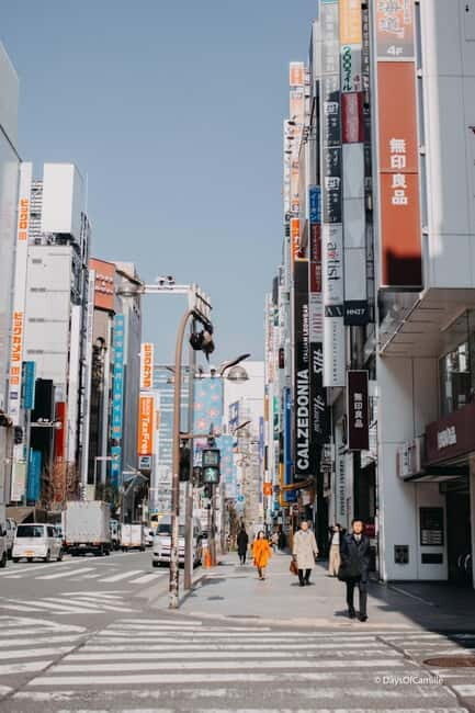 Tokyo, half day : private tour with an expert ! - Key highlights I’d plan around