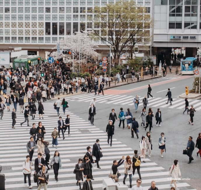 Tokyo, half day : private tour with an expert ! - Meiji Shrine’s Forest: Why This Stop Feels Like a Time-Out
