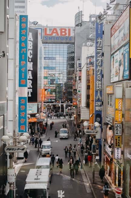 Tokyo, half day : private tour with an expert ! - Logistics That Matter: Timing, Transport, and Entrance Fees