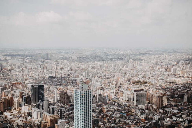 Tokyo, half day : private tour with an expert ! - Pickup in Asakusa and a Guide Who Adjusts to Your Wants