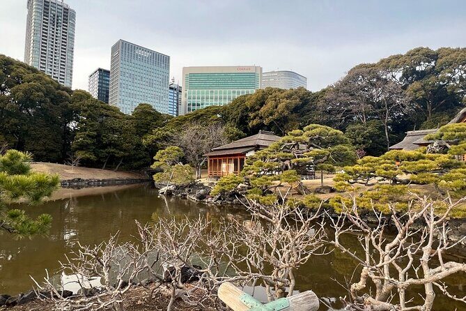 Tokyo: Hama-rikyu Gardens tour with Japanese Tea & Sweets - Key Highlights You’ll Care About