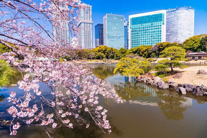 Tokyo: Hama-rikyu Gardens tour with Japanese Tea & Sweets - Should you book? My bottom-line advice