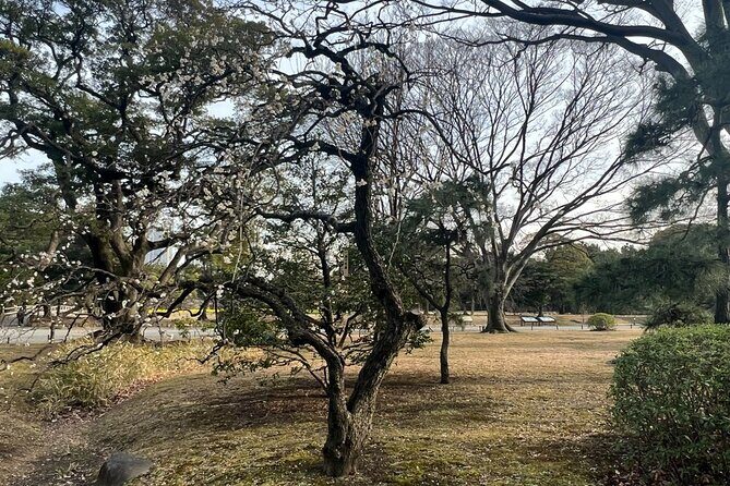 Tokyo: Hama-rikyu Gardens tour with Japanese Tea & Sweets - What It Feels Like in Real Time (Including Nori’s Impact)