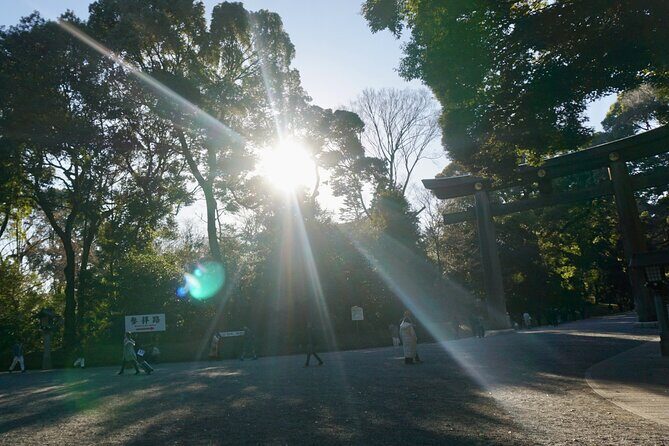 Tokyo: Harajuku Meiji Shrine to Shibuya Crossing Guided Tour - Who Should Book This and Who Might Skip It
