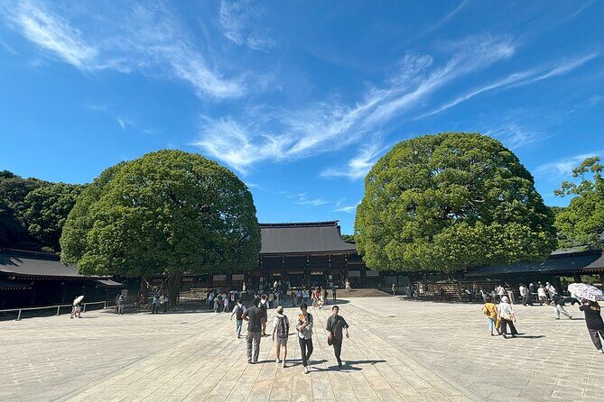 Tokyo Harajuku Walking Tour Meiji Jingu Yoyogi Park and More - What makes the guide part of the value