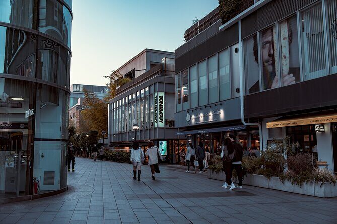 Tokyo Harajuku Walking Tour Meiji Jingu Yoyogi Park and More - Stop 2: Yoyogi Park for a quick reset