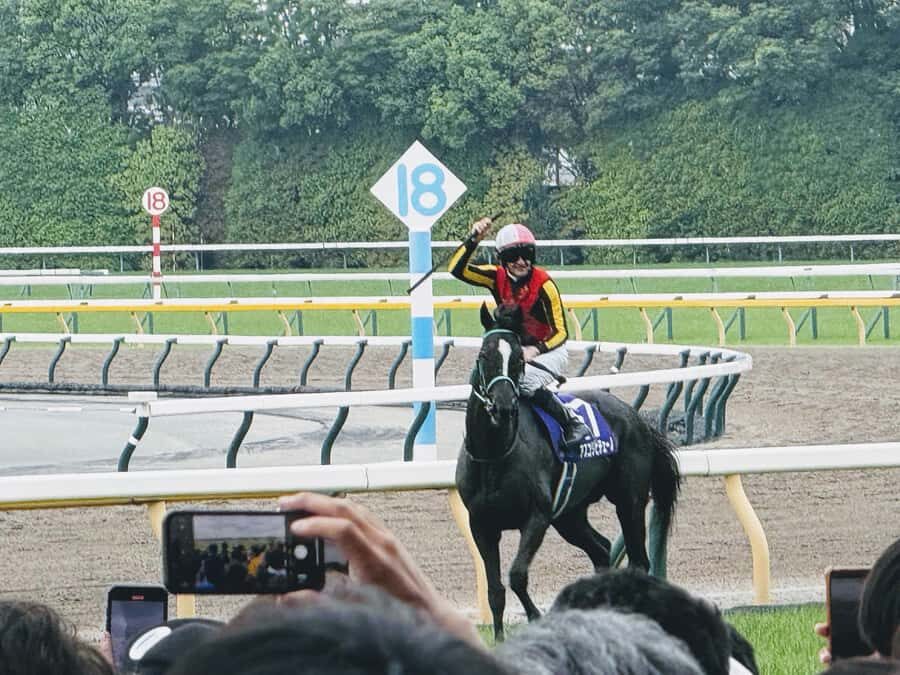 Tokyo: Horse Racing Tour with Local Fan - Key points for this Tokyo horse racing experience
