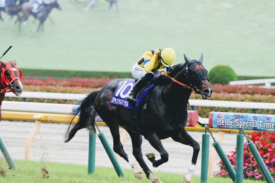 Tokyo: Horse Racing Tour with Local Fan - Meeting up and getting your reserved seat ticket in hand