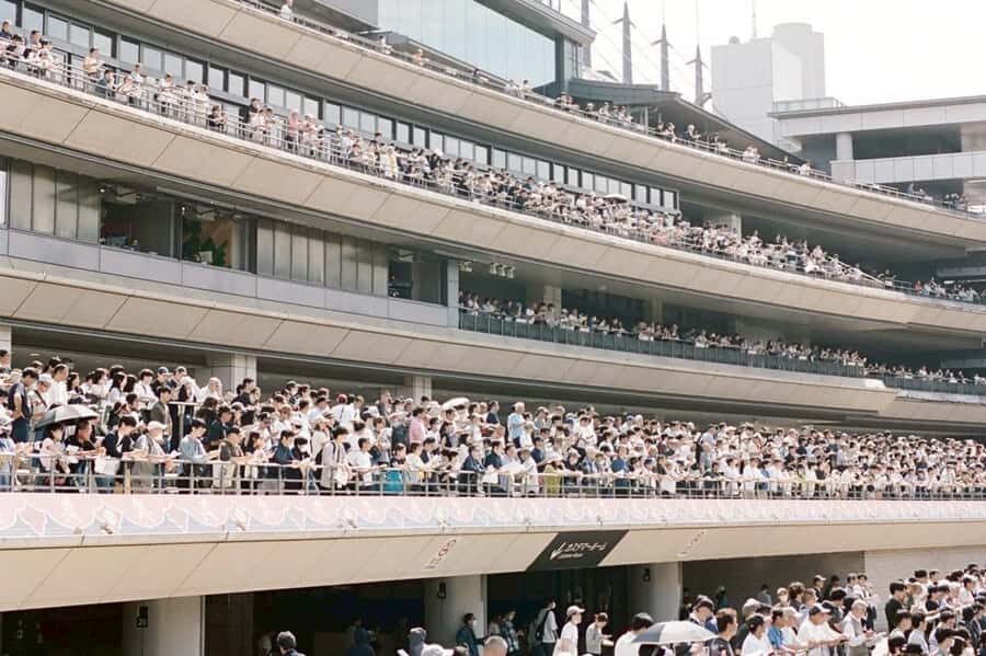 Tokyo: Horse Racing Tour with Local Fan - How the guide helps you place bets (without speaking Japanese)