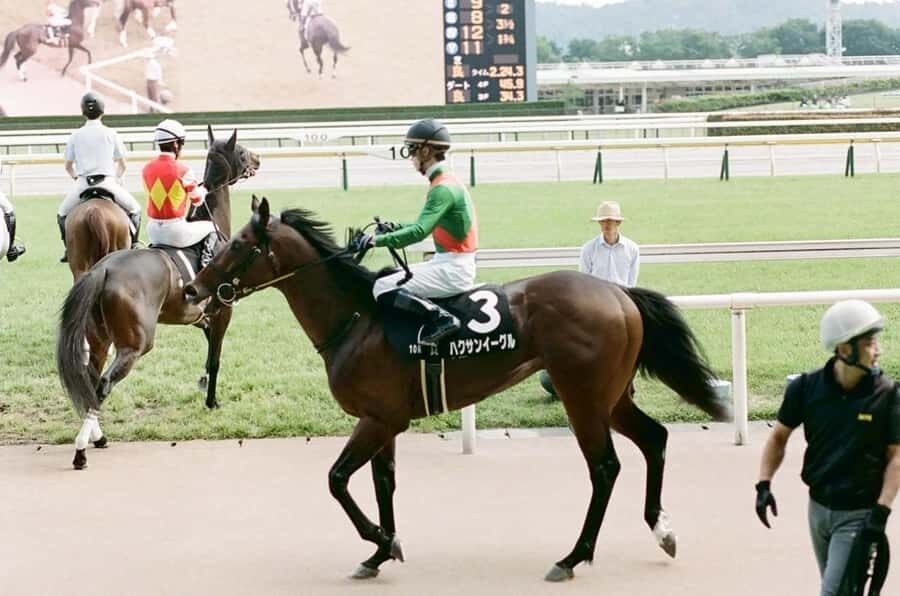 Tokyo: Horse Racing Tour with Local Fan - The food and drinks reality: what’s included vs what you pay