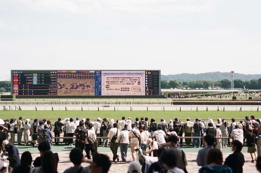 Tokyo: Horse Racing Tour with Local Fan - Choosing the right racecourse day: Tokyo vs Nakayama vs Oi vs Kawasaki