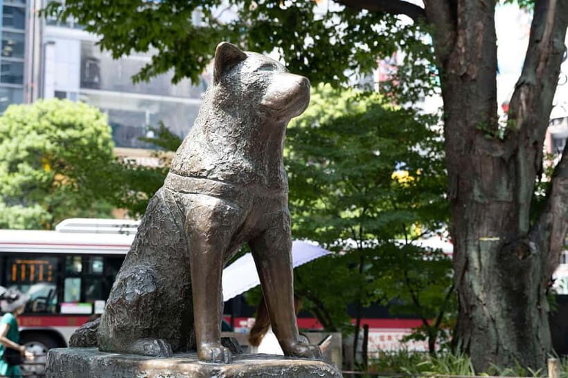 Tokyo: Iconic City Tour – Skytree, Shibuya & Imperial Palace - Why this Tokyo icons route works so well