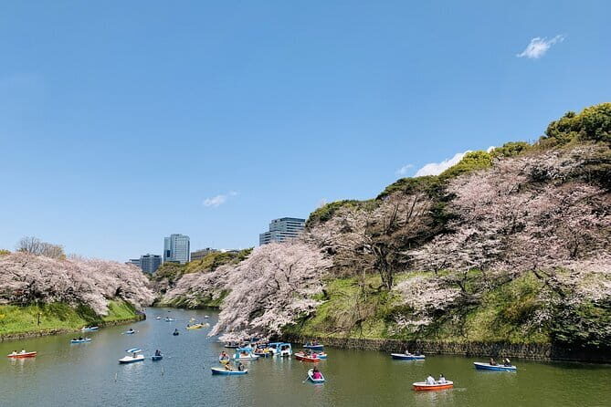 Tokyo Imperial Palace and Heritage of Edo Castle Private Tour - The Private Guide Advantage: More Questions, Less Rush