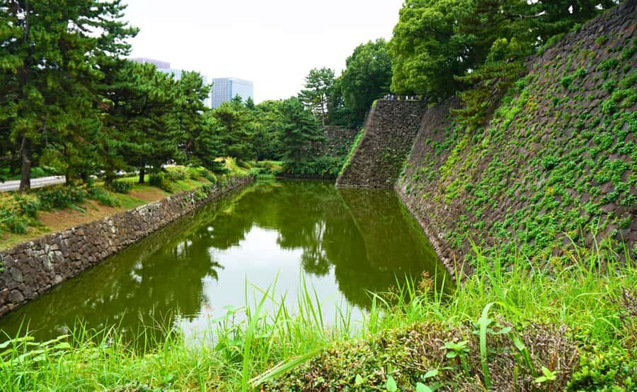 Tokyo: Imperial Palace, the history of Japan (ENGLISH GUIDE) - Weather, pace, and rules you’ll actually notice