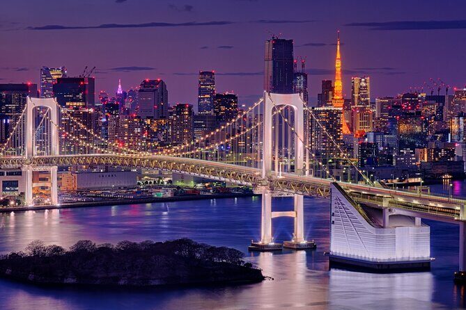 Tokyo in a Day : Private Tour to Shrine, Temples, Towers &Culture - Key points before you go