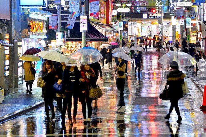 Tokyo in a Day : Private Tour to Shrine, Temples, Towers &Culture - Akihabara Electric Town: anime and gadgets time