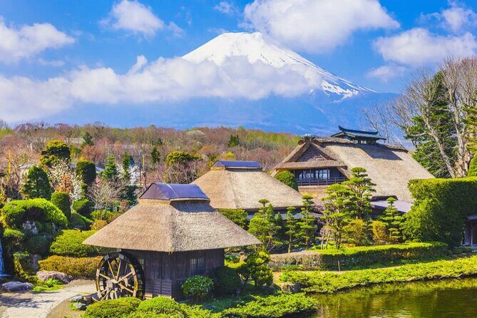 Tokyo: Instagram-Worthy Mt Fuji & Lake Kawaguchiko Day Trip - Oshino Hakkai: eight springs near Mt. Fuji, and why it’s a good reset