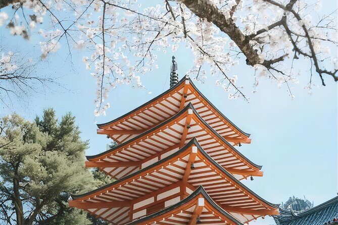 Tokyo: Instagram-Worthy Mt Fuji & Lake Kawaguchiko Day Trip - Maple Corridor vs Oishi Park: how autumn reshapes the whole day