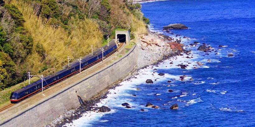 Tokyo: Izu Scenic Oceanview Train, Volcano, Coast Day Trip - Quick take: what makes this Izu tour click