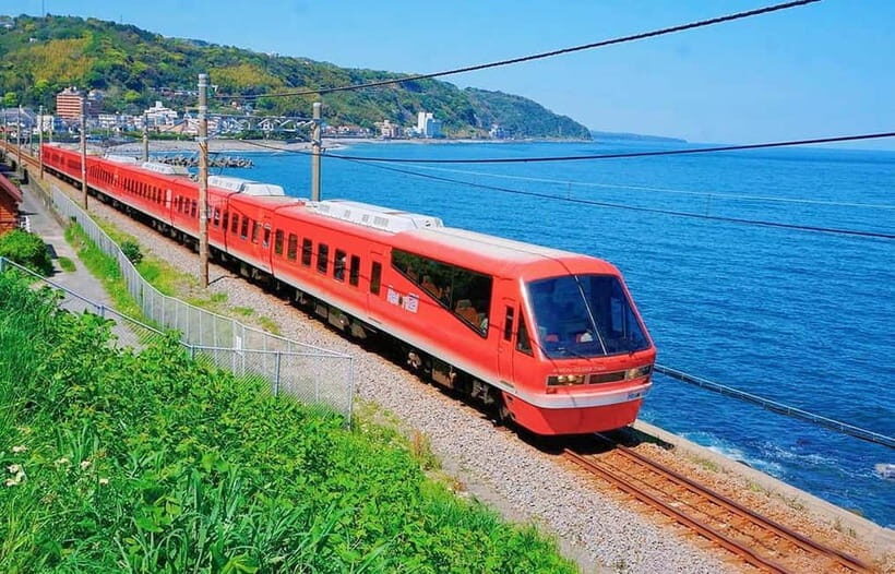 Tokyo: Izu Scenic Oceanview Train, Volcano, Coast Day Trip - Omuroyama extinct volcano: the 360 trail and the matcha-pudding vibe
