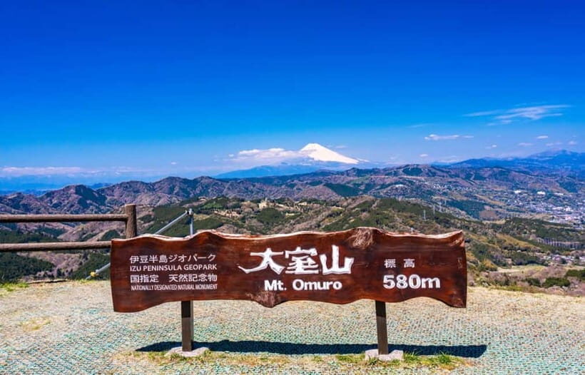 Tokyo: Izu Scenic Oceanview Train, Volcano, Coast Day Trip - Izu Cactus & Animal Park: greenhouses, friendly animals, and a DIY souvenir