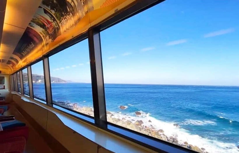 Tokyo: Izu Scenic Oceanview Train, Volcano, Coast Day Trip - Resort 21 oceanview train: the cliff, the wind, the wow moment