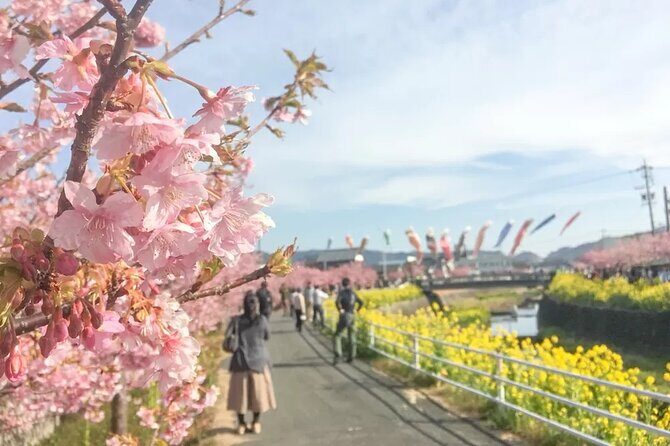 Tokyo-Izu: Volcano, Ocean& Capybara Cuddle with Izu Scenic Train - Kadowaki Suspension Bridge and Jogasaki Coast photo-stop time