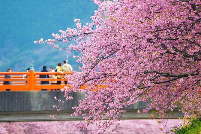 Tokyo-Izu: Volcano, Ocean& Capybara Cuddle with Izu Scenic Train - Price check: what $84.86 includes versus what costs extra