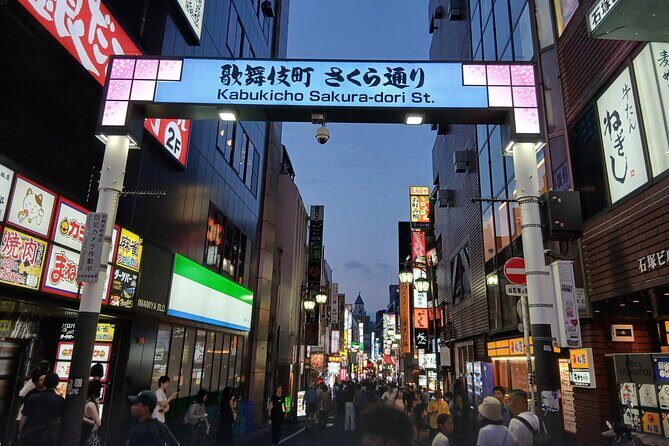 Tokyo Kabukicho Tour & Dinner Party - for Adults Only - Key points before you go