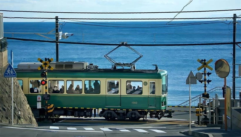 Tokyo: Kamakura & Enoshima Day Tour with Pickup & Train Ride - Driver-Guide Style: Transport First, Explanations Second