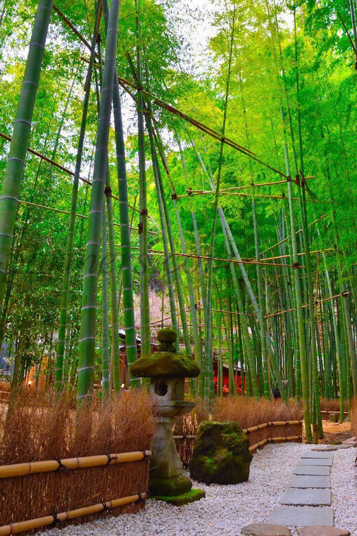 Tokyo: Kamakura Private Tour With Guide - How Komachi Street and local snacks fit into the day