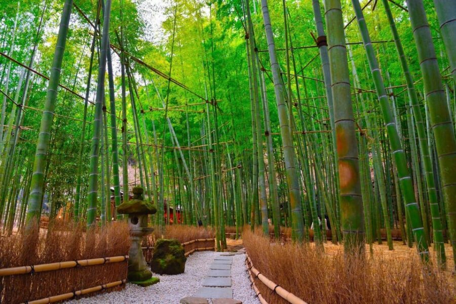 Tokyo: Kamakura Private Tour With Guide - The guide experience: why people loved the English support