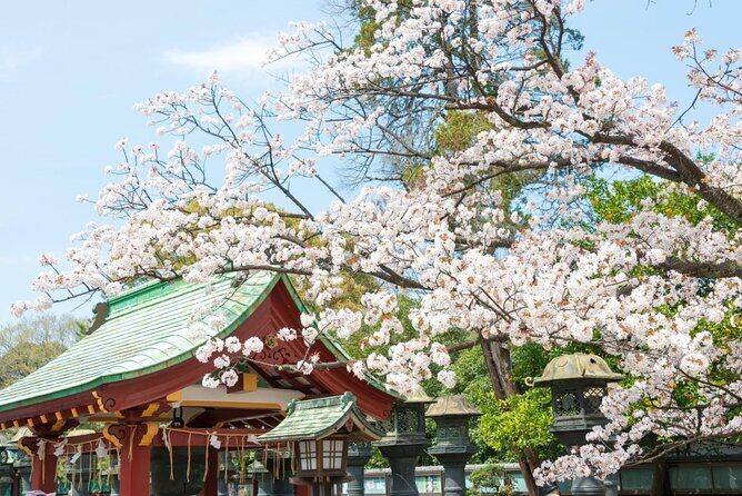 Tokyo Layover Tour with a Local – Private & Tailored to You - Key highlights you’ll feel fast