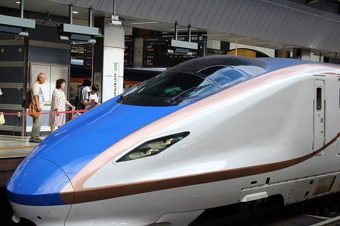 Tokyo Layover Tour with a Local – Private & Tailored to You - Getting to Tokyo and back: Skyliner nerves, gone