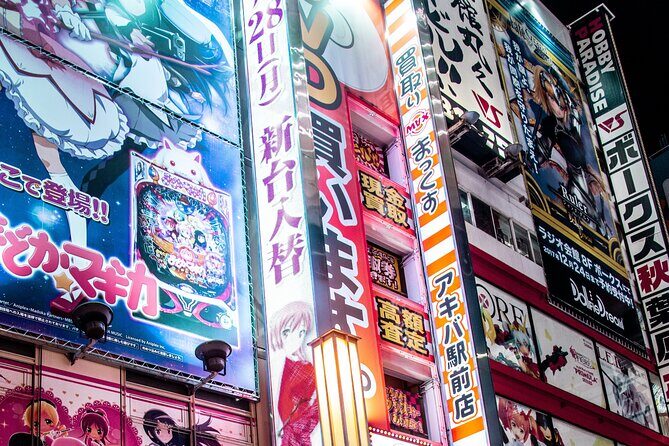 Tokyo Made Easy | Private Chauffeur Day Adventure | Car and Guide - Meiji Jingu and Shinjuku Observation Decks: Calm Shrines and Free Panoramas