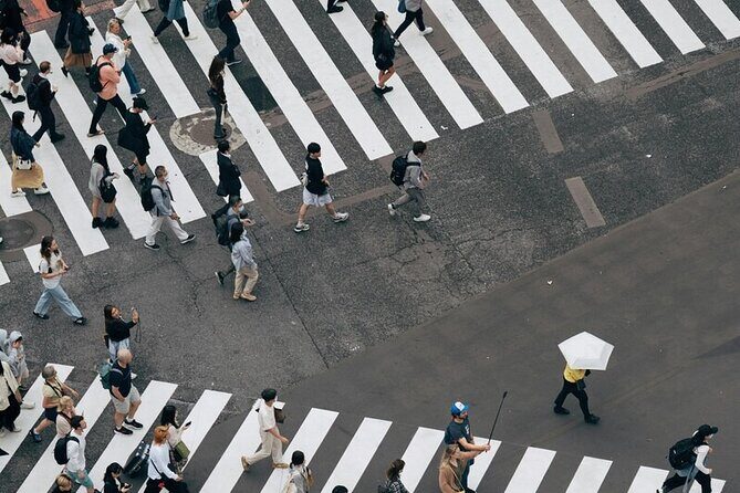 Tokyo Made Easy | Private Chauffeur Day Adventure | Car and Guide - Timing a 9–10 Hour Day: How to Make Each Stop Work