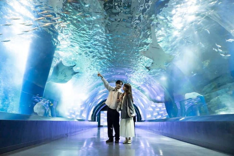 Tokyo: Maxell Aqua Park Shinagawa Direct Entry Ticket - How the Direct Entry Works at Shinagawa’s Indoor Aquarium