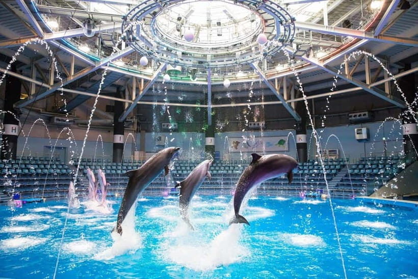 Tokyo: Maxell Aqua Park Shinagawa Direct Entry Ticket - A 1-Day Pass Built for a Tight Tokyo Day