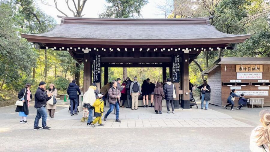 Tokyo: Meiji Jingu, Harajuku, Shibuya, and Shijuku Tour - Meiji Jingu: Start With Forest Calm and Real Shrine Rituals
