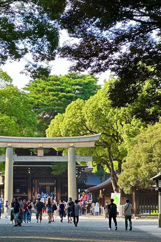 Tokyo: Meiji Jingu Shrine and Shinto Culture Walking Tour - Price and value at $19: Paying for meaning, not just entry