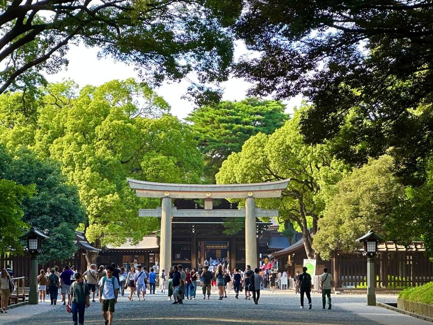 Tokyo: Meiji Jingu Shrine and Shinto Culture Walking Tour - Inside Meiji Shrine: What the Main Guided Hour Usually Gives You