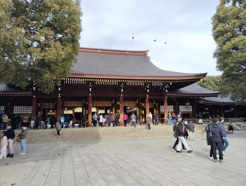 Tokyo: Meiji Jingu Shrine & Inner Garden Guided Tour (2h) - Meeting at Ichinotorii: Find the guide fast and get calm early