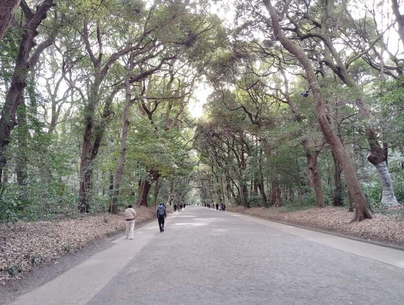 Tokyo: Meiji Jingu Shrine & Inner Garden Guided Tour (2h) - Shinen Garden: South Pond calm and Kiyomasa’s Well